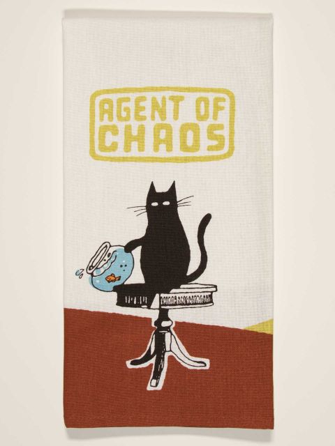 DISH TOWELS