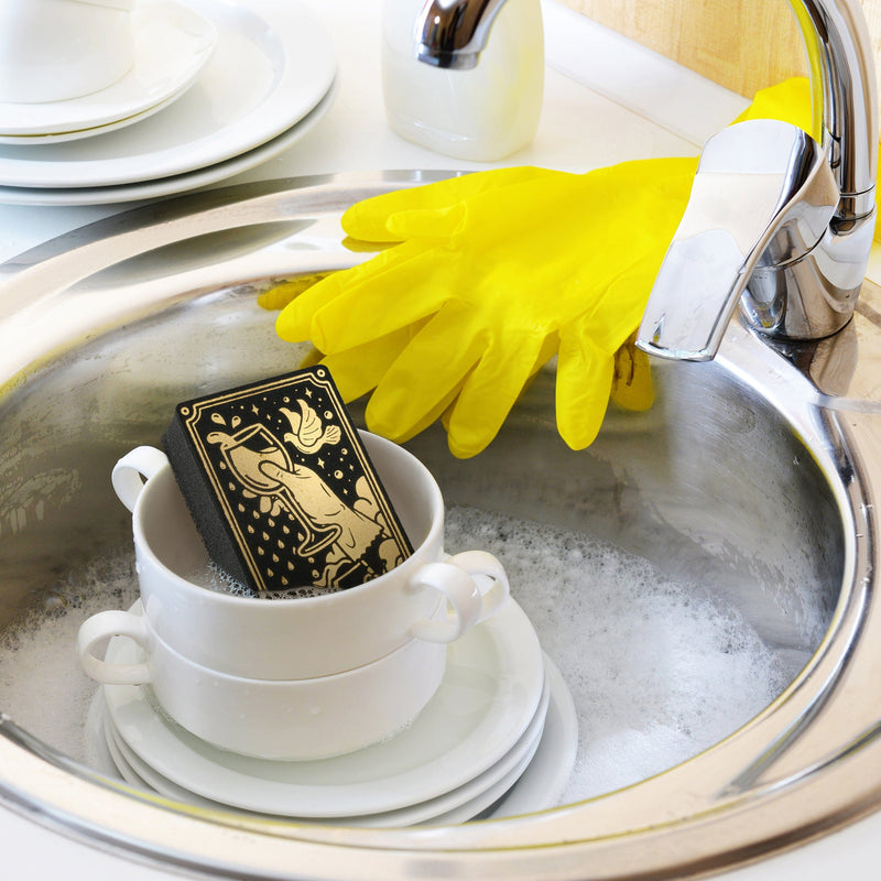 CLEAN FATE SPONGES