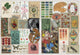 EXTRAORDINARY COLLECTIONS