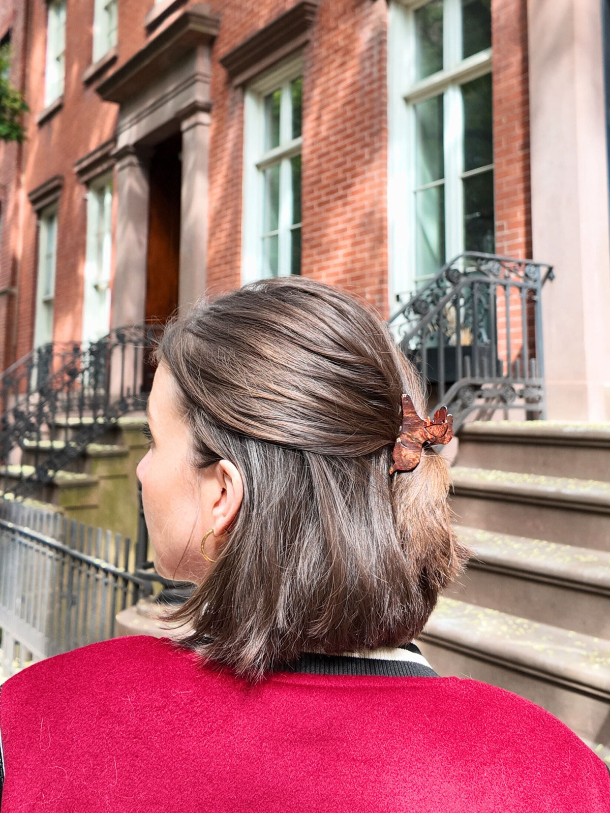 MINI DACHSHUND HAIR CLAW