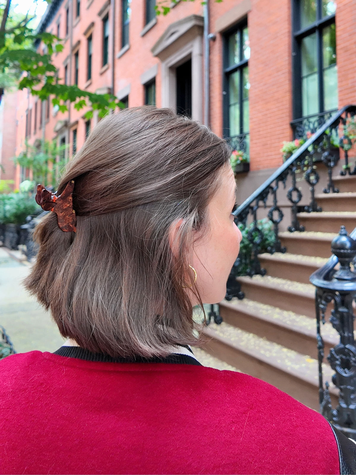 MINI DACHSHUND HAIR CLAW