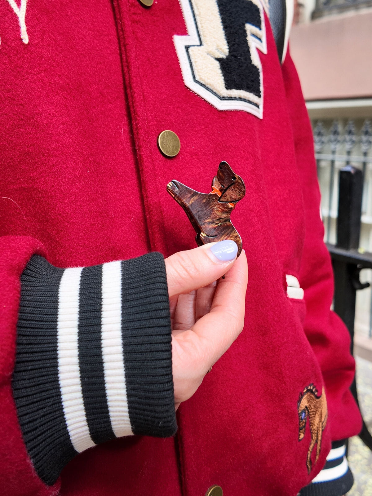 MINI DACHSHUND HAIR CLAW