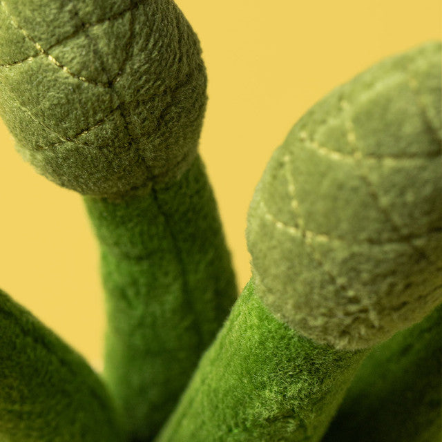 AMUSEABLES ASPARAGUS