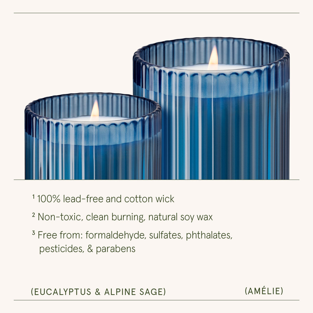 AMELIE CANDLE EUCALYPTUS & ALPINE SAGE