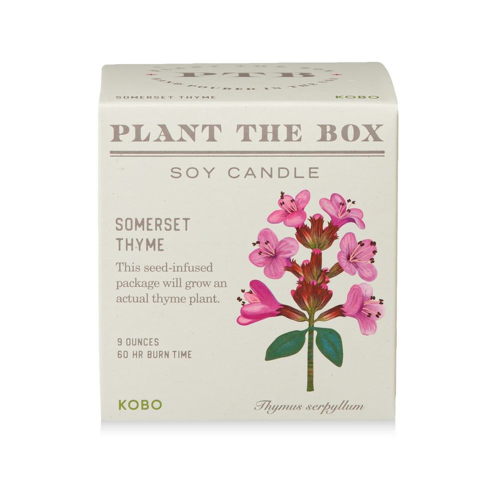 SOMERSET THYME