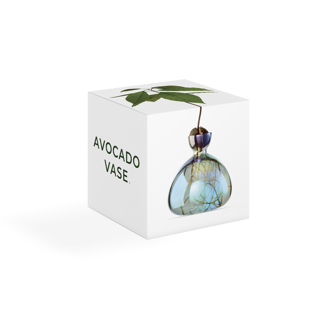 AVOCADO VASE COSMIC LYRA