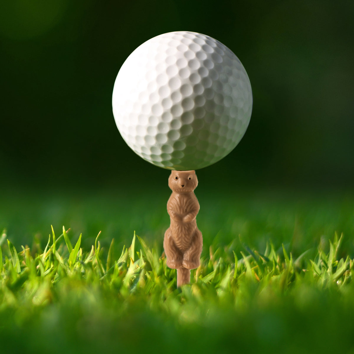 GOPHER THE CADDY TEE