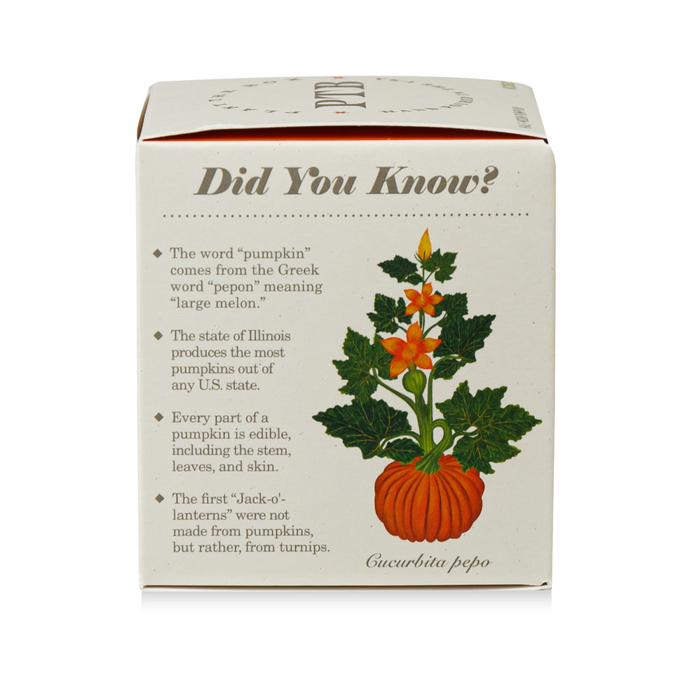 HALF MOON PUMPKIN