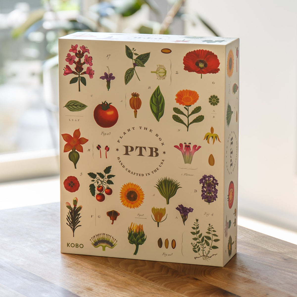 PTB VOTIVE SET