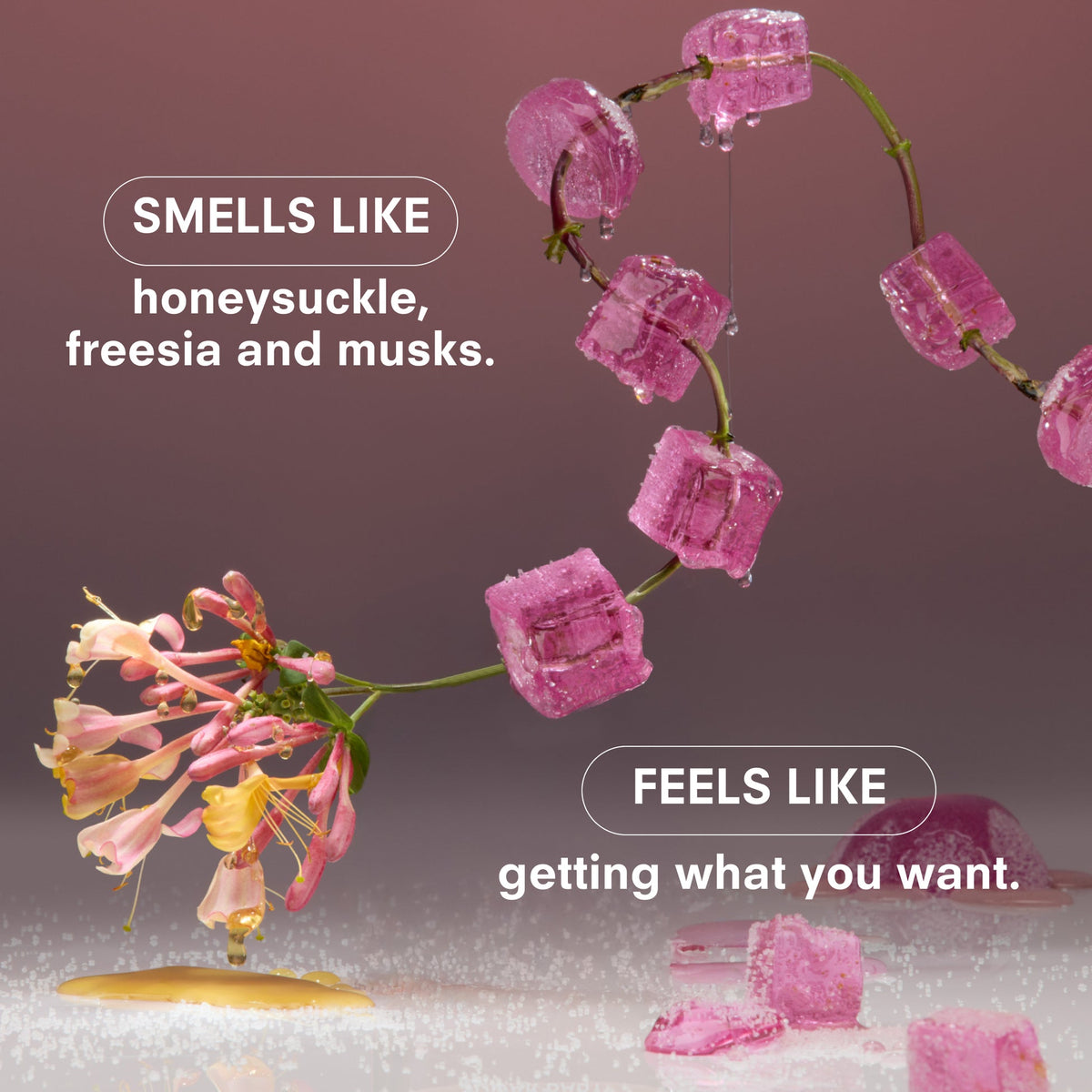 SUGAR BABY HERO 50ML