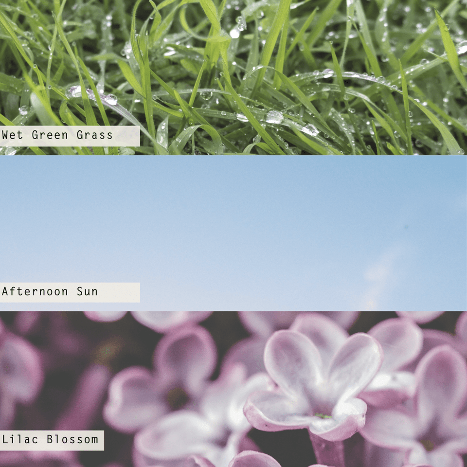 SUMMER GRASS DIFFUSER