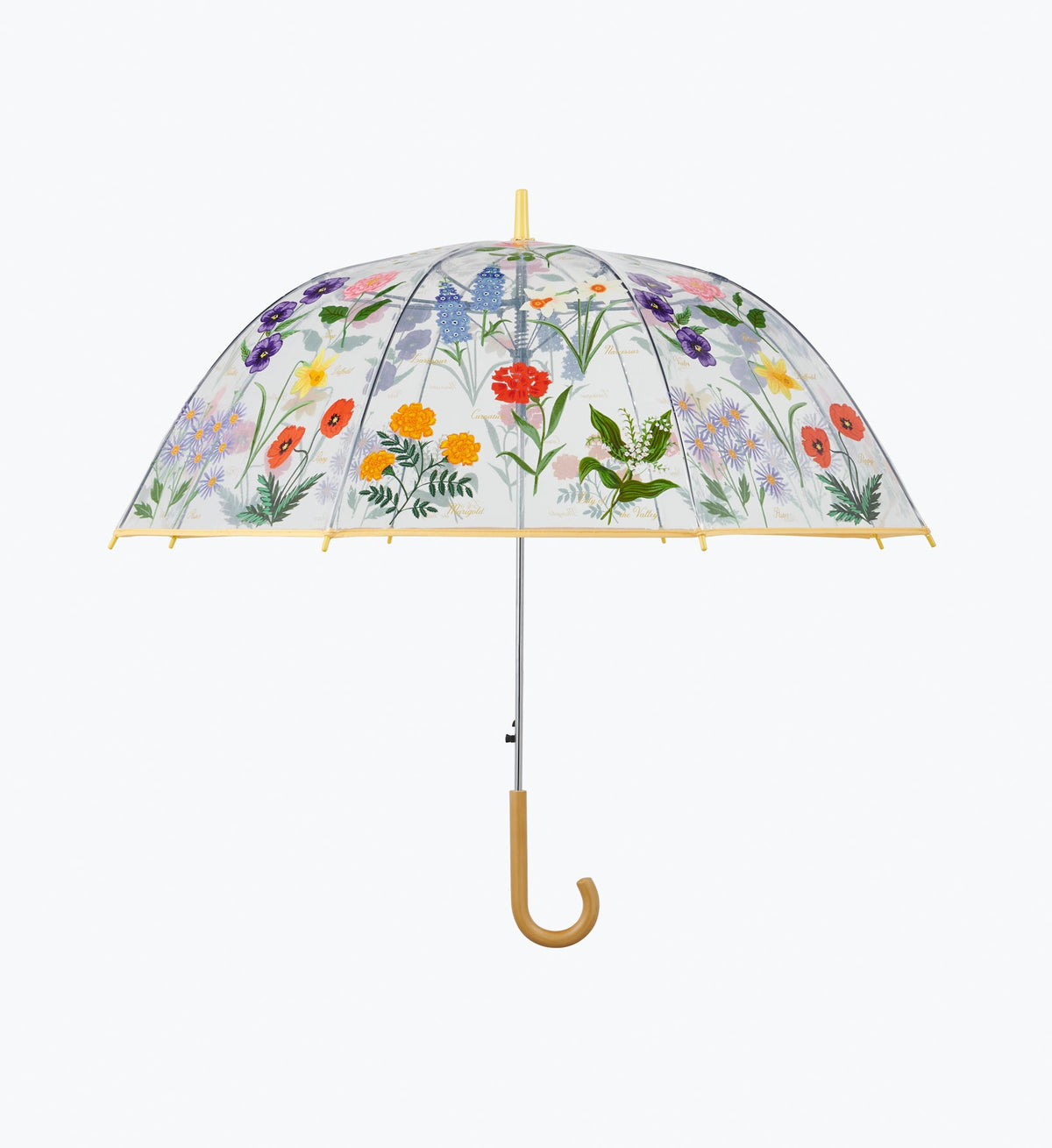 GARDEN STUDY CLEAR UMBRELLA