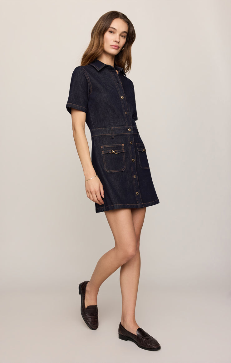 THE CRUSH DENIM DRESS