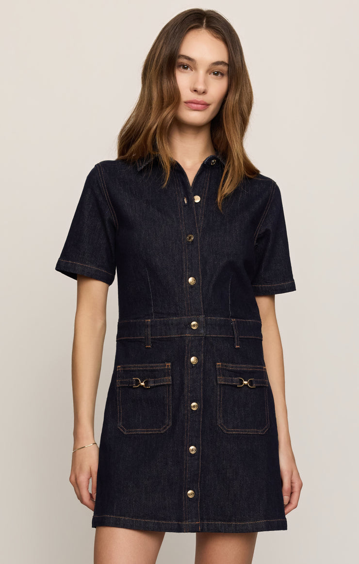THE CRUSH DENIM DRESS