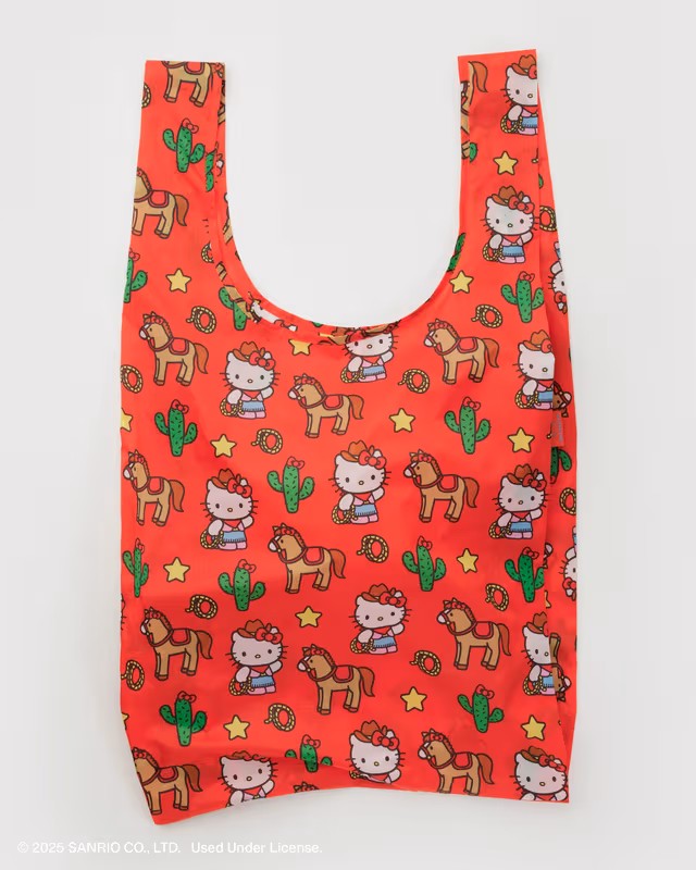 BIG BAGGU