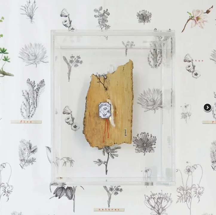 COLLAGE FRAME NATURE