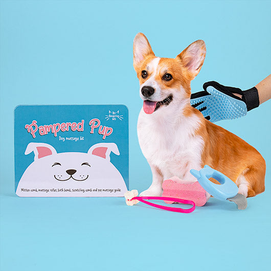 MASSAGE KIT DOG