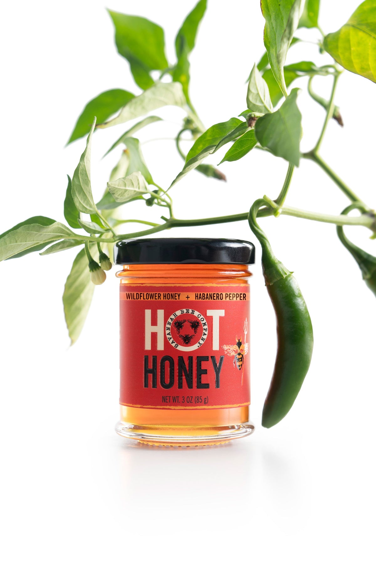 HOT HONEY