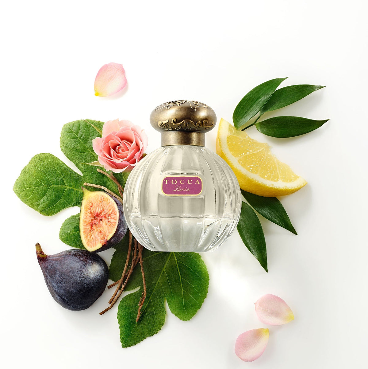 50 ML EDP