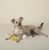 3-PIECE SMALL DOG TOY SET