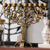 JEWISH MUSEUM HAGENAUER MENORAH