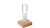 STORM GLASS